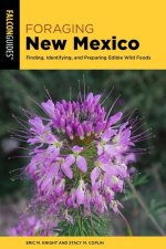 Foraging New Mexico