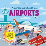 A Curious Cat's Guide to: Airports