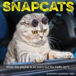 Snapcats 2026 12 X 12 Wall Calendar