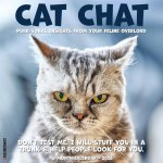 Cat Chat 12 X 12 Wall Calendar