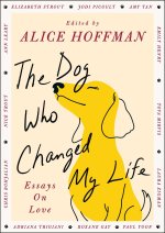 The Dog Who Changed My Life