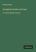 Zoologische Studien auf Capri