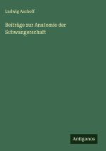 Beiträge zur Anatomie der Schwangerschaft