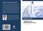 Cellulase zur Abfallreduzierung