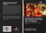 Produttività energetica della biomassa di ricino: oltre il biodiesel