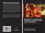 Wydajno¿¿ energetyczna biomasy z nasion rycyny: poza biodieslem
