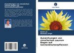 Auswirkungen von simuliertem saurem Regen auf Sonnenblumenpflanzen