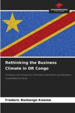 Rethinking the Business Climate in DR Congo