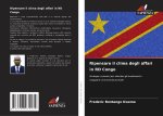 Ripensare il clima degli affari in RD Congo