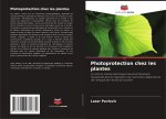 Photoprotection chez les plantes