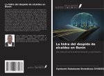 La hidra del despido de alcaldes en Benín