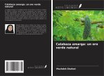 Calabaza amarga: un oro verde natural