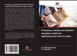 Processus complet de transfert de gènes médié par Agrobacterium dans le tabac
