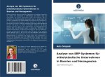 Analyse von ERP-Systemen für mittelständische Unternehmen in Bosnien und Herzegowina