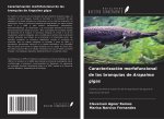 Caracterización morfofuncional de las branquias de Arapaima gigas
