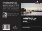 L'invasione dei 