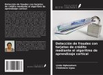 Detección de fraudes con tarjetas de crédito mediante el algoritmo de aprendizaje cortical