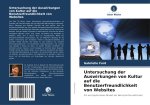 Untersuchung der Auswirkungen von Kultur auf die Benutzerfreundlichkeit von Websites