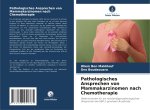 Pathologisches Ansprechen von Mammakarzinomen nach Chemotherapie