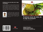 Protéase issue du latex de la tige du jacquier