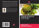 Protease do látex do caule da jaca