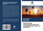 Entwicklung, Charakterisierung und Leistungsbewertung von Biodiesel