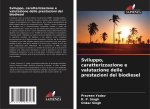 Sviluppo, caratterizzazione e valutazione delle prestazioni del biodiesel