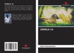 SOKELA 14