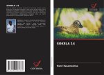 SOKELA 14