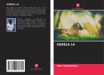 SOKELA 14