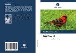 SOKELA 11