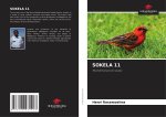 SOKELA 11