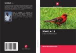 SOKELA 11