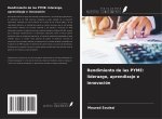 Rendimiento de las PYME: liderazgo, aprendizaje e innovación
