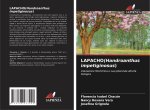 LAPACHO(Handroanthus impetiginosus)