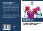 Induktion experimenteller Lebererkrankungen