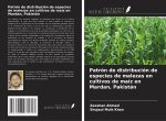 Patrón de distribución de especies de malezas en cultivos de maíz en Mardan, Pakistán