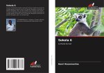 Sokela 6