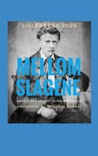 Mellom slagene