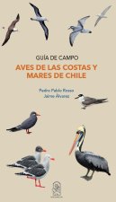 Aves de las costas y mares de Chile