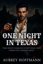 One Night in Texas