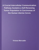 A Crucial Intercellular Communication Pathway Sustains a Self-Renewing Tumor Population in Carcinomas of the Human Uterine Cervix