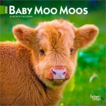 Baby Moo Moos 2026 7 X 14 Inch (Hanging) Monthly Mini Wall Calendar