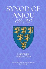 Synod of Anjou