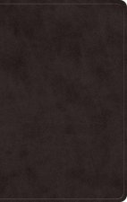 ESV Giant Print Value Personal Size Bible, Red Letter (Trutone, Black)