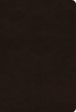 ESV Giant Print Thinline Bible (Trutone, Deep Brown)