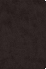 ESV Giant Print Value Thinline Bible (Trutone, Black)
