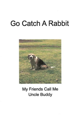 Go Catch a Rabbit