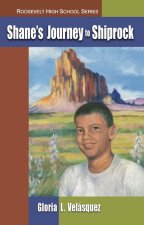 Shane's Journey to Shiprock