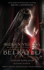 Hidden Villains